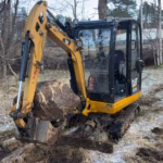 Miniescavatore Cat 301 7D
