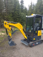 Miniescavatore Rima Motore Kubota D 902 - immagine 10